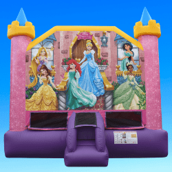 Disney Princess Castle